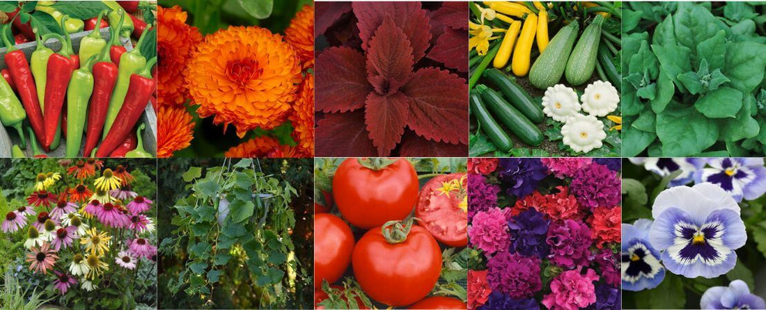 What's New for 2026: Fresh Picks, Real Benefits, and More Ways to Grow