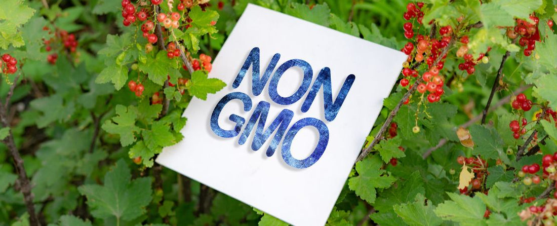 4 Reasons to Shop Only at Non-GMO Seed Companies