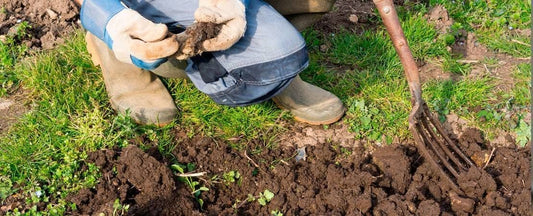 Organic Gardening Tips