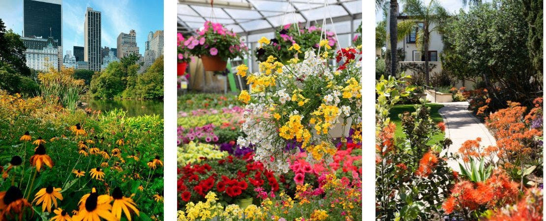 Park Seed Wholesale - for Trade, Volume, and Wholesale Customers