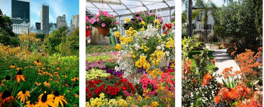 Park Seed Wholesale - for Trade, Volume, and Wholesale Customers