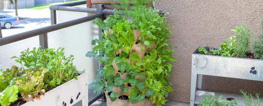 Guide to Patio Gardening: Grow Big in a Small Space