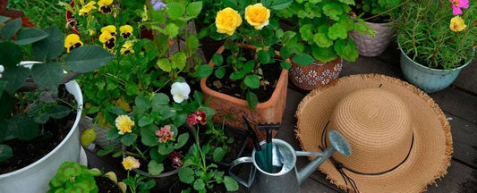 Planning Your Next Spring Flower Garden