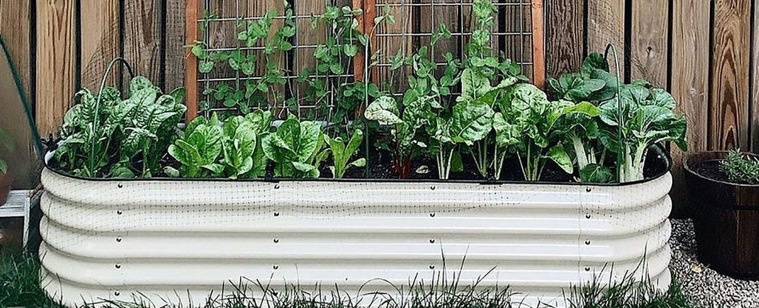 Benefits of Raised Bed Gardens