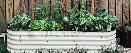 Benefits of Raised Bed Gardens
