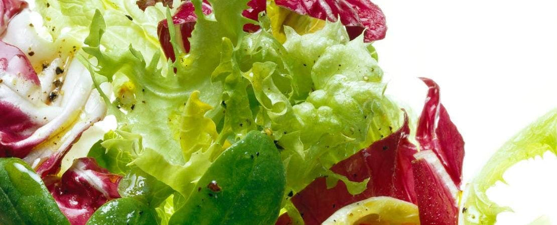 Park Seed Customer's Recipes: Salads