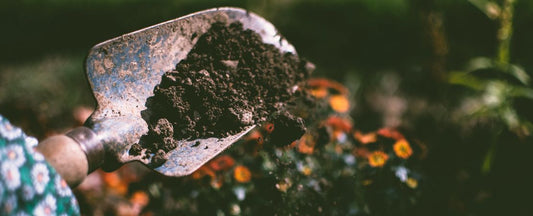 Why Soil Testing Is the First Step to a Better Garden
