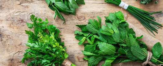 Tips for Storing Fresh Herbs