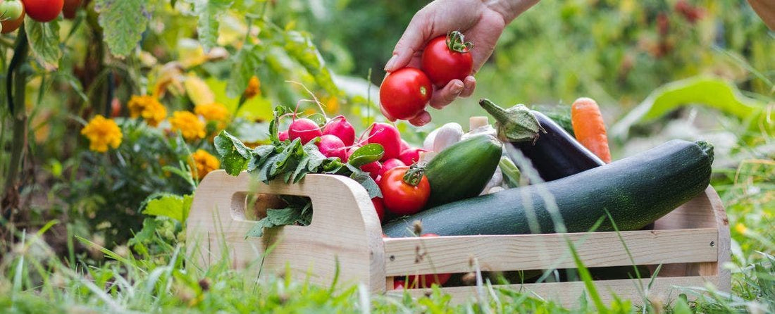 Summer Sides from the Garden: What to Grow Now