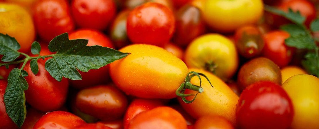 Why Tomatoes Split and How to Prevent It