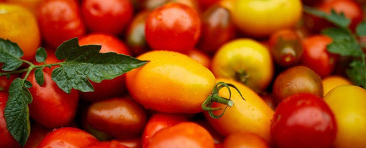 Why Tomatoes Split and How to Prevent It
