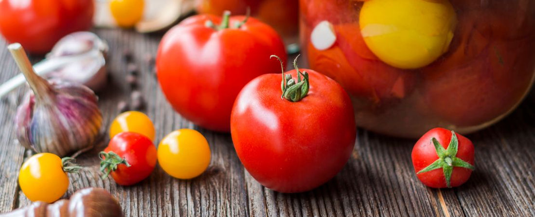 How to Store Tomatoes: The Best Ways to Keep Garden-Fresh Flavor