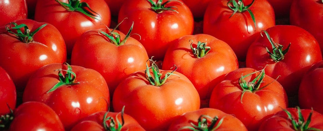 Tomato Prices in 2025 Could Rise Up to 50% (What’s Next?)