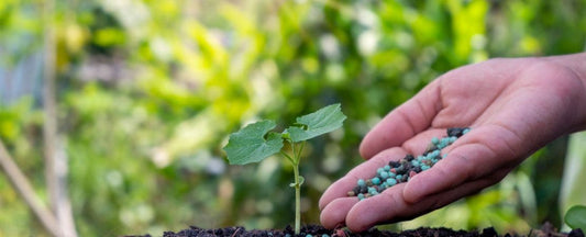 Understanding Fertilizer