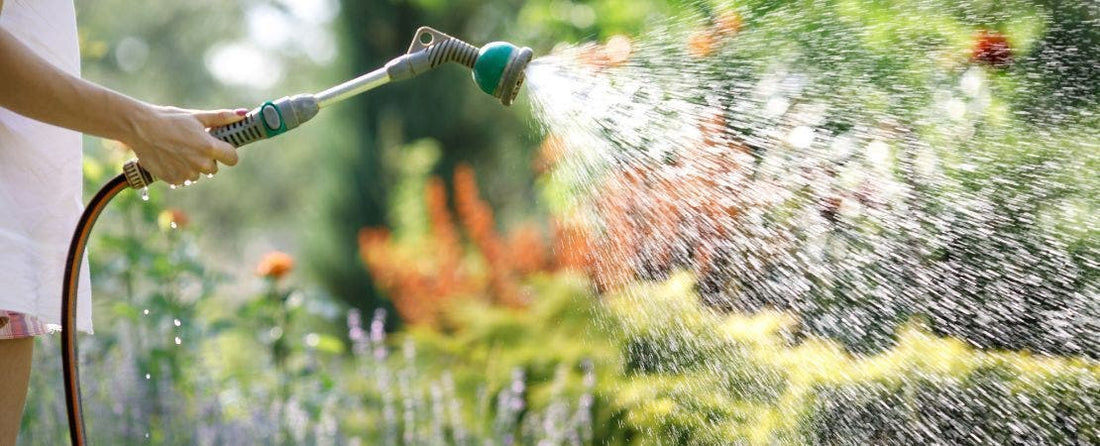 Make Watering Less of a Chore