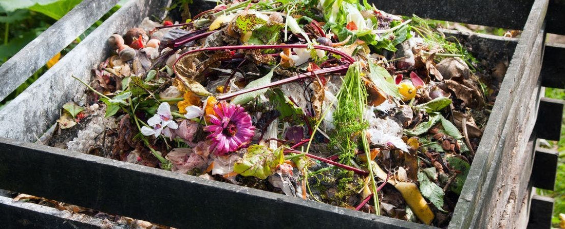 How to Compost: What to Use and What Not to Use