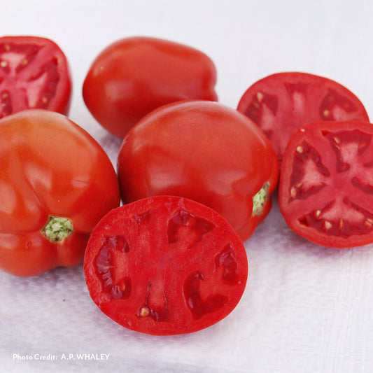 New Vegetables