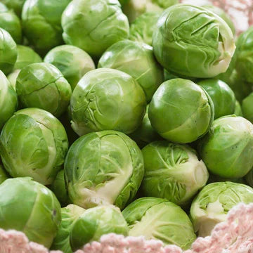 Brussels Sprouts Plant Seeds