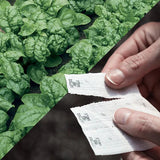 Vegetable Seed Tapes, Discs and Mats