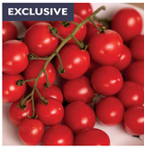 Park Seed Exclusive Vegetables