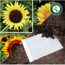Sow Effortless Collection™ Seed Mats