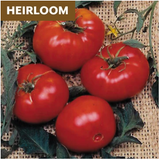 Heirloom Vegetable Seeds
