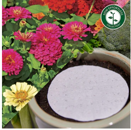 Sow Effortless Collection™ Seed Discs