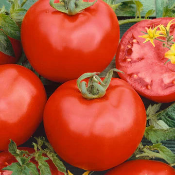 Determinate Tomatoes