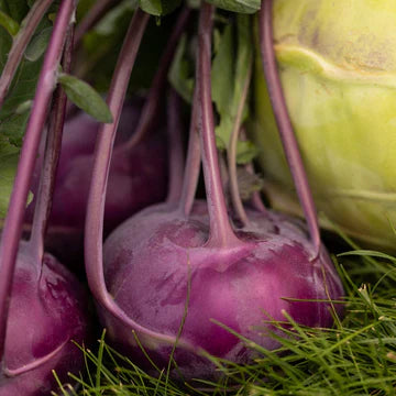 Kohlrabi Seeds