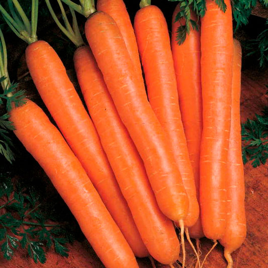 Cool Season Vegetables