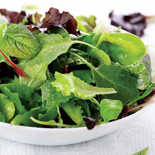 Organic Vegetable Seeds