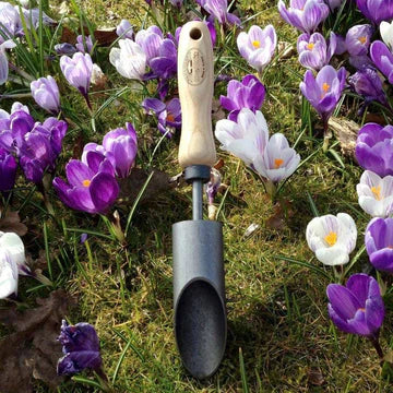 Bulb Supplies