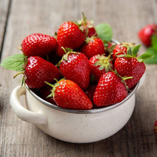 Fruit & Berry Plants