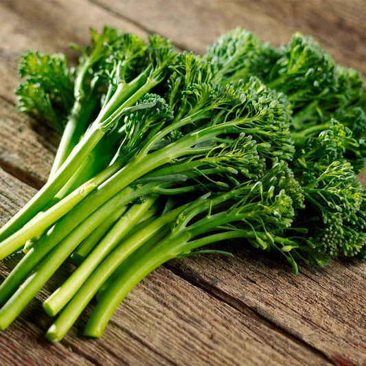 Brassica