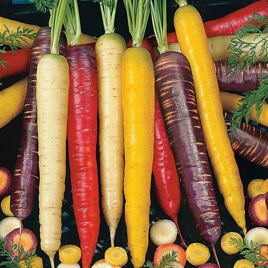 Root Vegetables