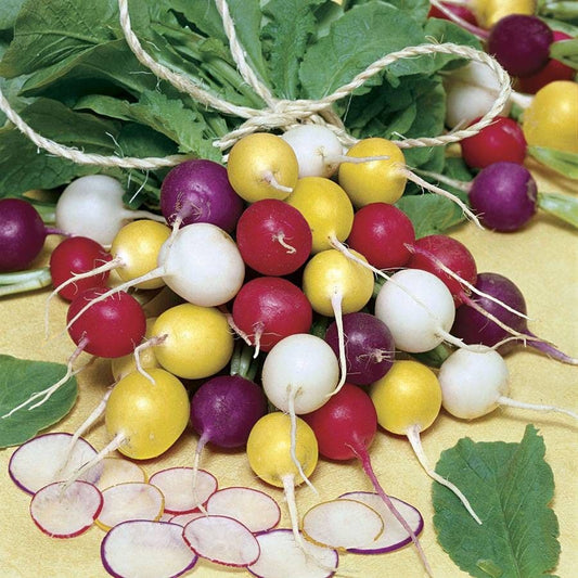 Vegetables for Beginners