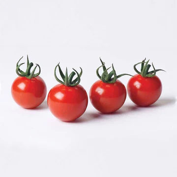Vegetable Seeds
