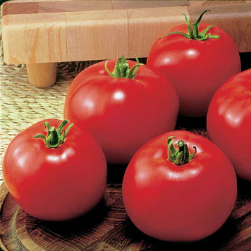 Early-Season Tomatoes