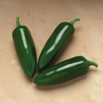 Hot Pepper Seeds