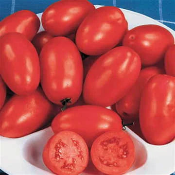 Paste Tomatoes
