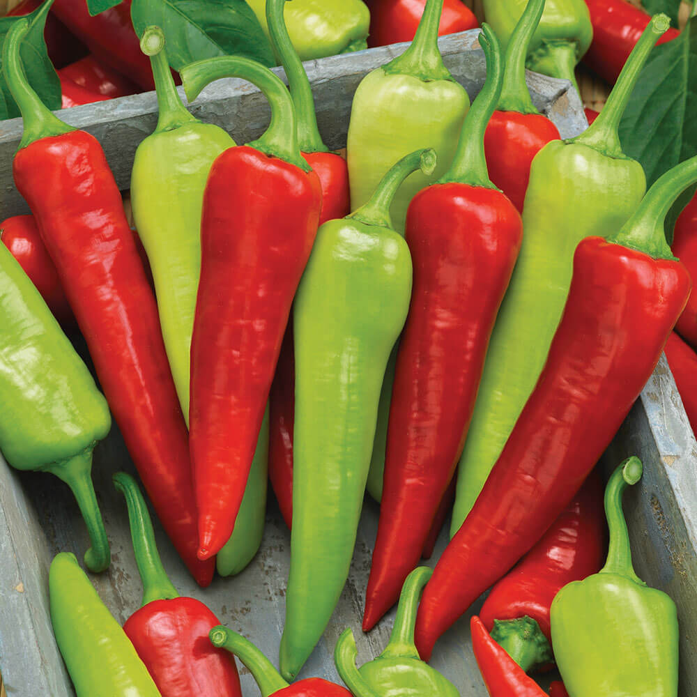 Sweet Banana Pepper Seeds