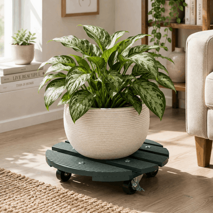 Wagner® 11.4-Inch Round Plant Caddy - Sage Green