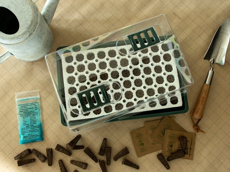 2020 Bio Dome Kit Crawford