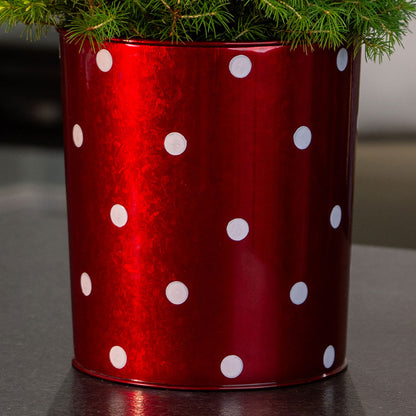 Holly Jolly Potted Christmas Tree