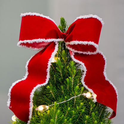 Holly Jolly Potted Christmas Tree