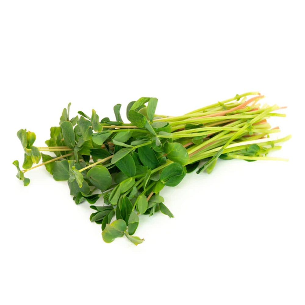 Microgreen Salad Mix Seeds