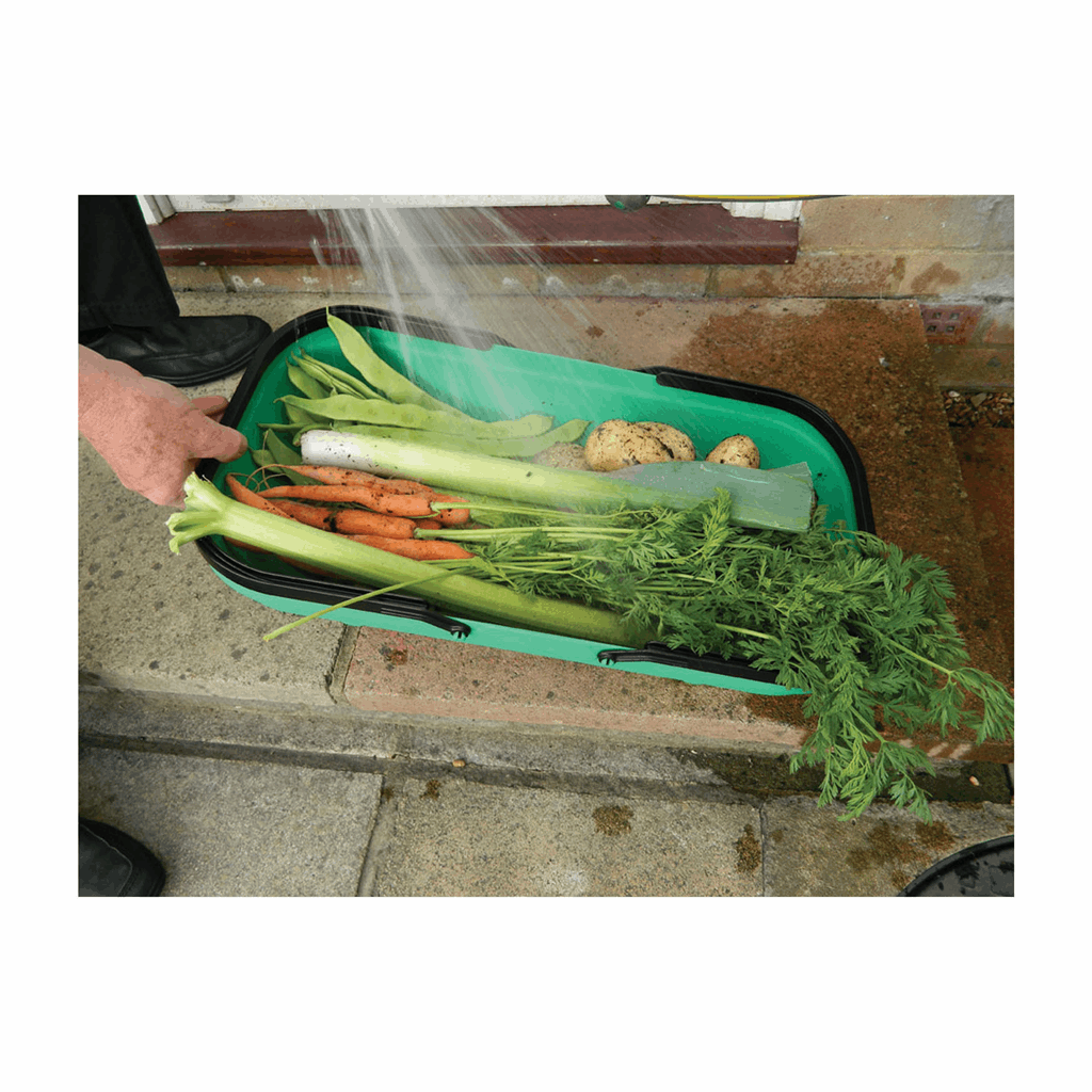 Colander Garden Trug- Green