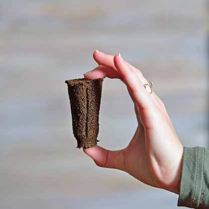 Bio Dome Refill Sponges