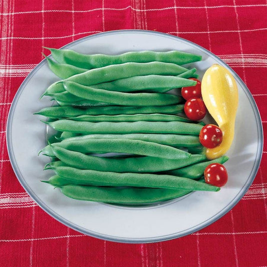 Roma II Garden Bean Seeds