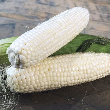 Silver Queen Hybrid Sweet Corn Seeds